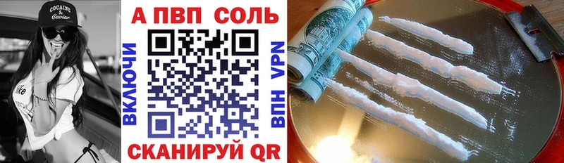 Alfa_PVP СК Гатчина