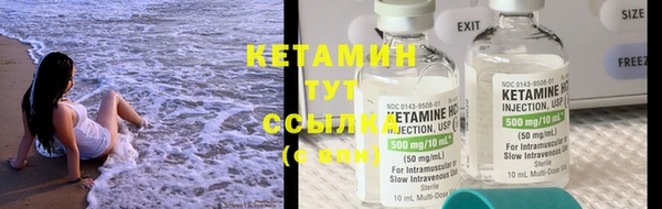 прущие грибы Белокуриха