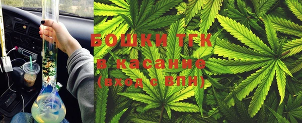 прущие грибы Белокуриха