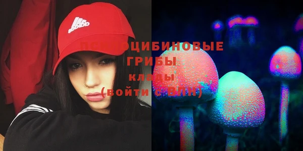 гидропоника Белоозёрский