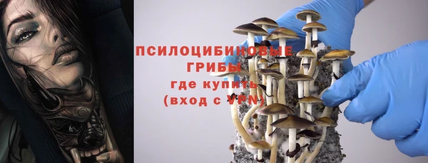 гидропоника Белоозёрский