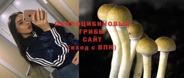 прущий лед Медногорск