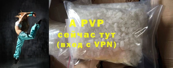 прущие грибы Белокуриха