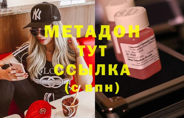 прущие грибы Белокуриха