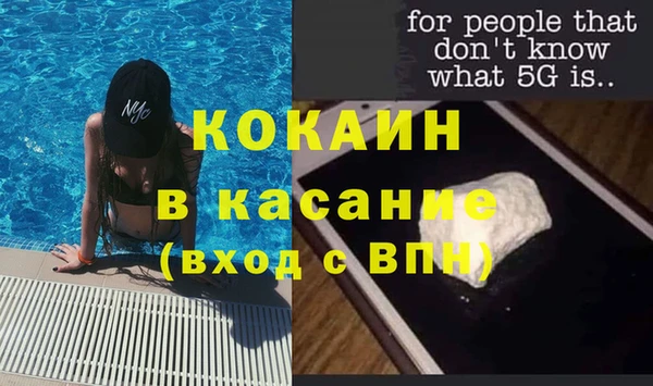 прущие грибы Белокуриха