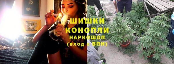 прущие грибы Белокуриха