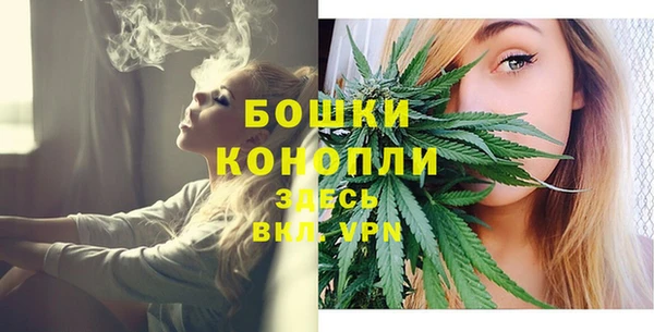 гидропоника Белоозёрский