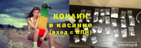 прущие грибы Белокуриха