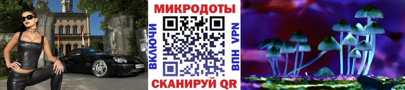 Галлюциногенные грибы мухоморы  дарнет шоп  Гатчина 