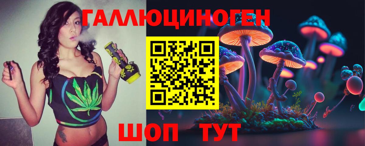 Галлюциногенные грибы GOLDEN TEACHER Гатчина